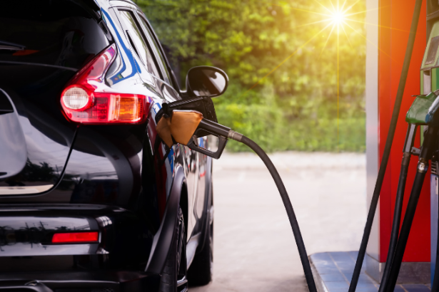 Bruno Rodrigues Quintas