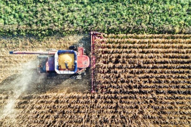 Brasil e Inovação no Agro: Ciência e Tecnologia Transformando o Campo