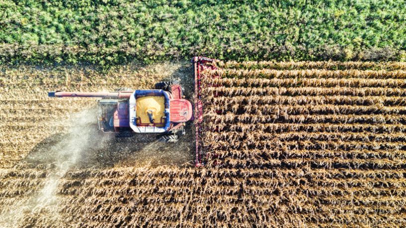 Brasil e Inovação no Agro: Ciência e Tecnologia Transformando o Campo